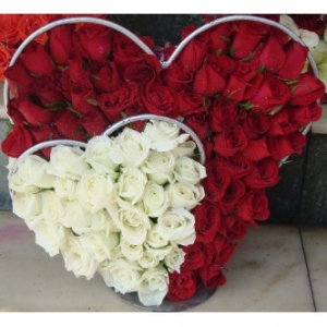 Flowers Delivery in Pune, Send Flowers to Pune on Same Day
